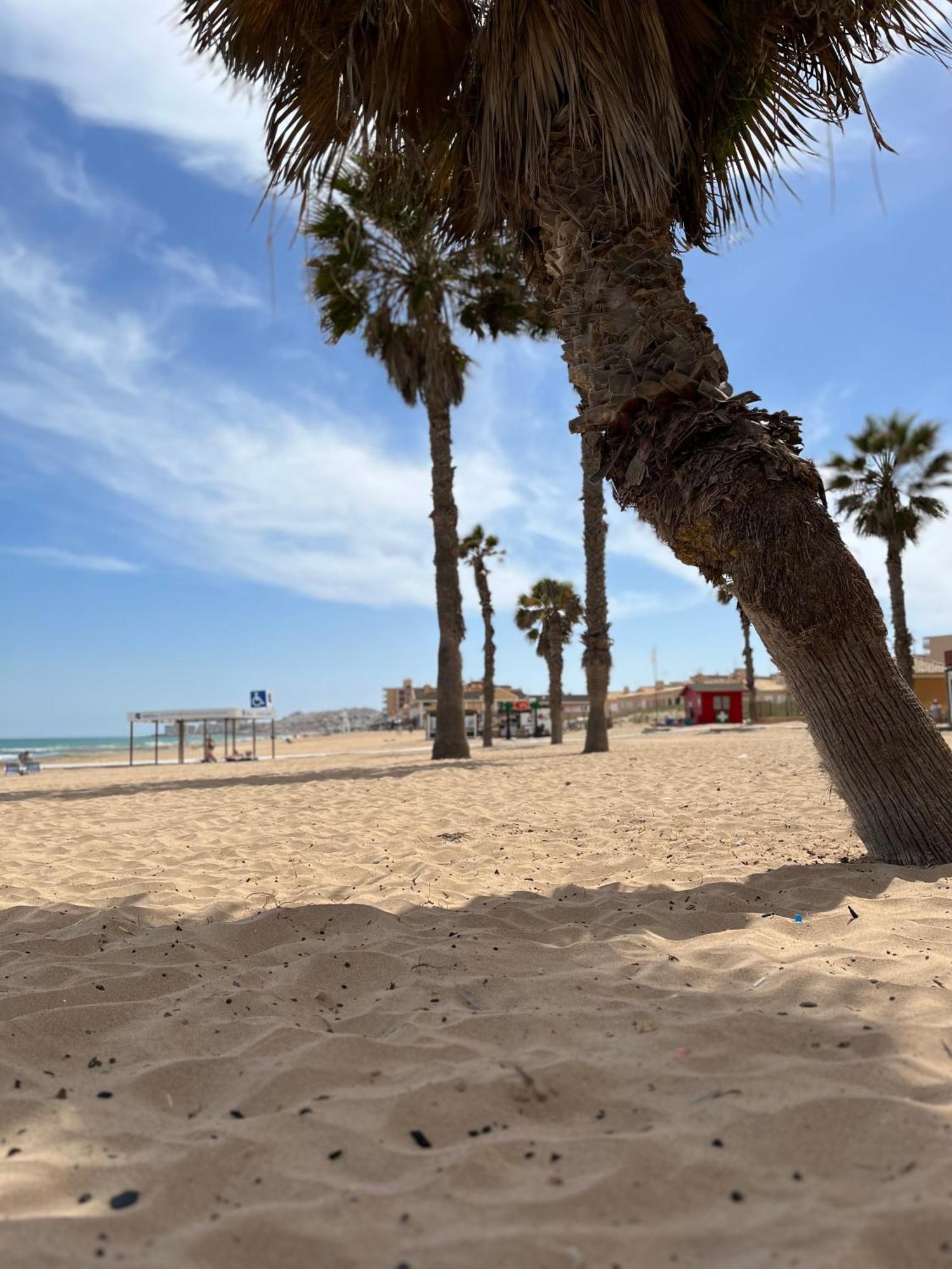 Sol De Mar, La Mata La Mata (Torrevieja) Exterior foto