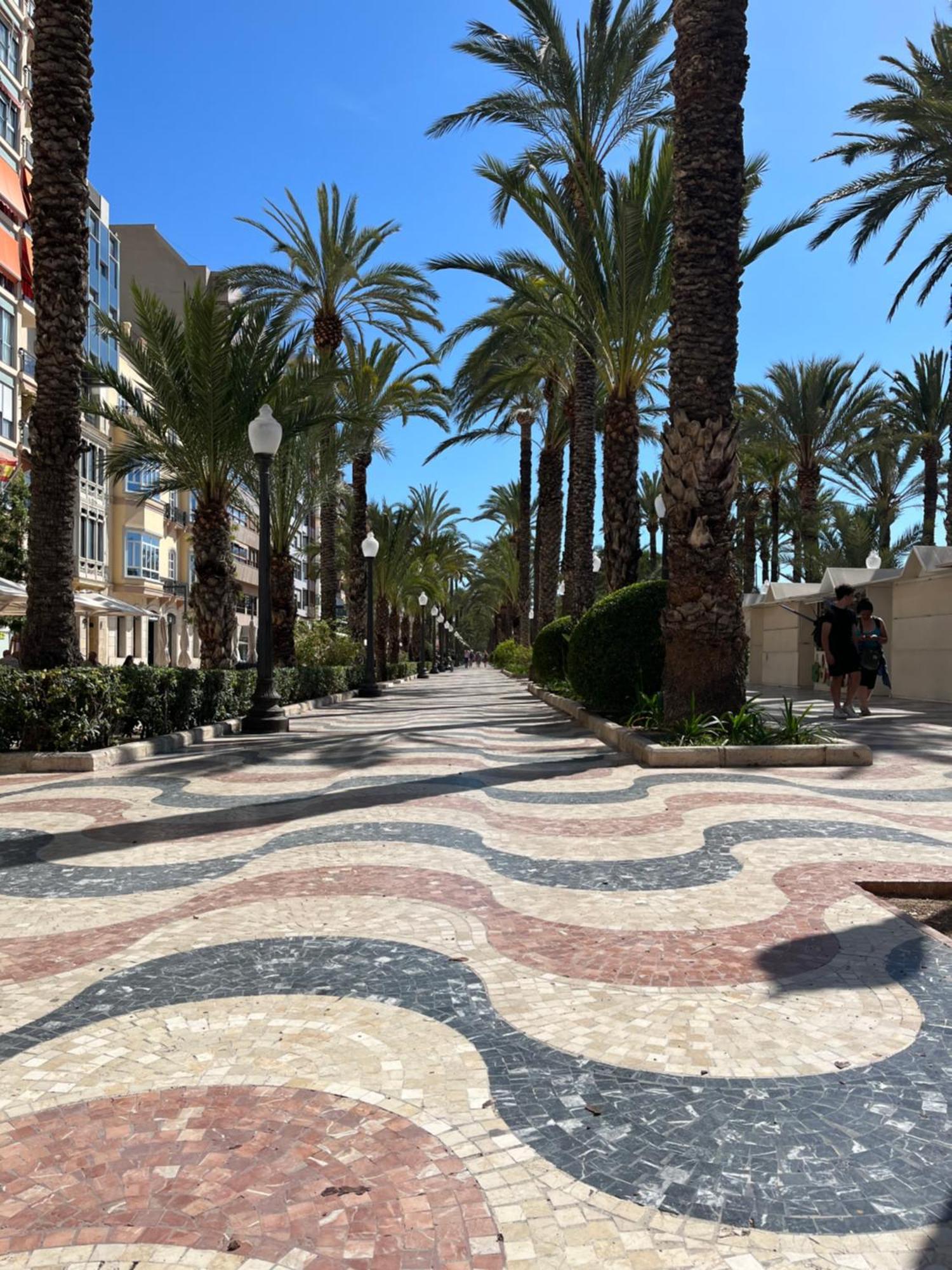 Sol De Mar, La Mata La Mata (Torrevieja) Exterior foto